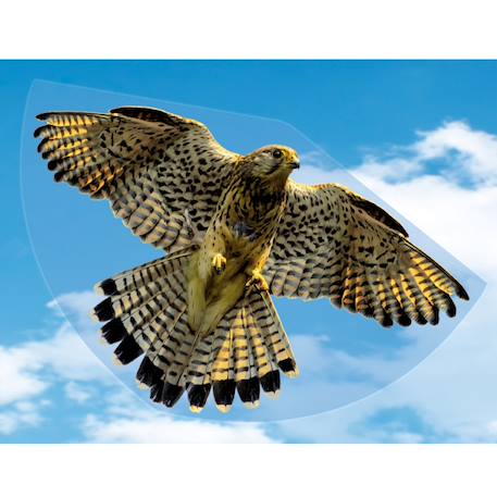 Cerf-volant faucon Marron 3 - vertbaudet enfant 