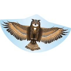 Jouet-Jeux de plein air-Cerf-volant hibou