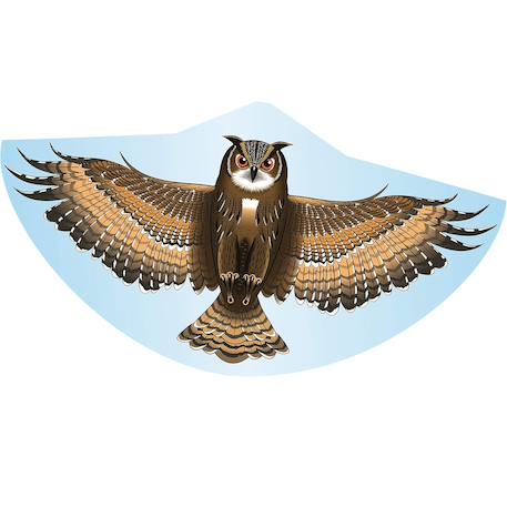 Cerf-volant hibou Marron 1 - vertbaudet enfant 