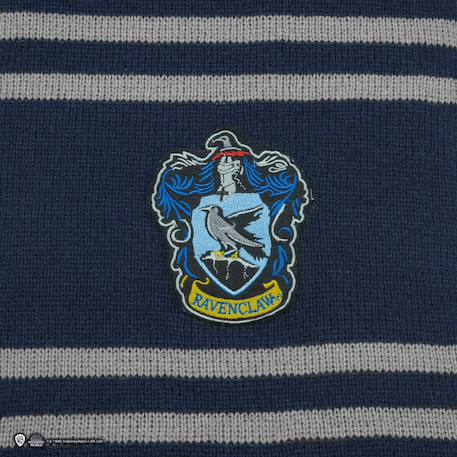 Écharpe deluxe serdaigle - harry potter Bleu|rayé 4 - vertbaudet enfant 
