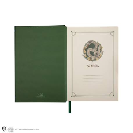 Set carnet et stylo deluxe monde magique de serpentard - harry potter Vert 5 - vertbaudet enfant 