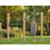 Double barre fixe en bois pour jardin enfant 206cm Naturel 6 - vertbaudet enfant 