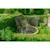 Trampoline enterré rond ø366cm avec filet de sécurité Noir+Rose+Vert 18 - vertbaudet enfant 
