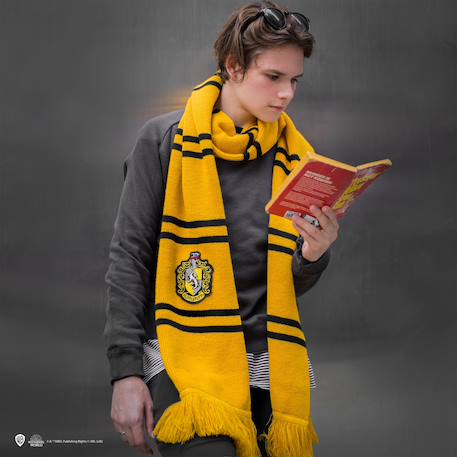 Écharpe deluxe poufsouffle - harry potter Jaune|rayé 2 - vertbaudet enfant 
