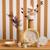 Boite à dents de lait hortense Beige 3 - vertbaudet enfant 