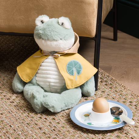 Peluche monsieur grenouille Vert 3 - vertbaudet enfant 