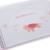 Album deasse venus Rose 2 - vertbaudet enfant 