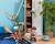 Peluche balthazar le pirate Multicolore 3 - vertbaudet enfant 