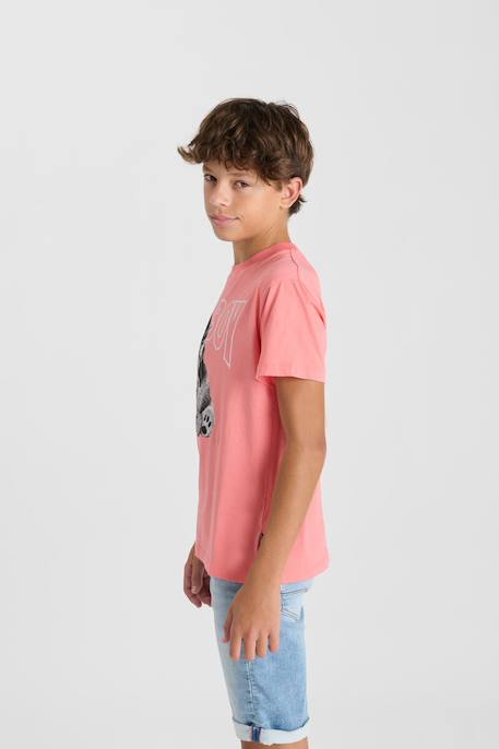 Tee-shirt grifinbo Peche 3 - vertbaudet enfant 