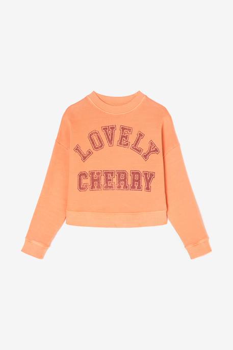 Sweat-shirt stephagi Melon 1 - vertbaudet enfant 