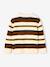 Pull garçon manches longues marine+noisette 12 - vertbaudet enfant 