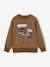 Sweat garçon col rond noisette 2 - vertbaudet enfant 