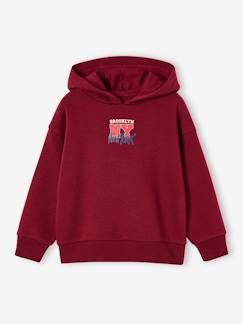 -Sweat à capuche garçon