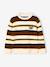 Pull garçon manches longues marine+noisette 11 - vertbaudet enfant 