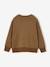 Sweat garçon col rond noisette 3 - vertbaudet enfant 