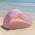Tente de plage enfant pliante polyester Bleu+Rose 10 - vertbaudet enfant 