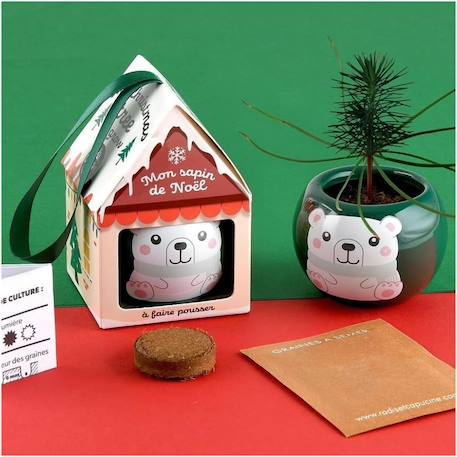 Mon sapin de noël à faire pousser Vert 6 - vertbaudet enfant 