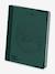 Tablette lumineuse K-draw PAD vert foncé 1 - vertbaudet enfant 