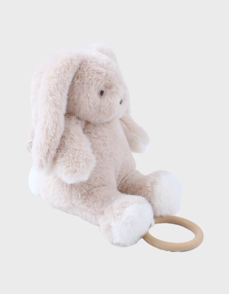 Peluche mini-musicale 20cm - moka Beige 3 - vertbaudet enfant 