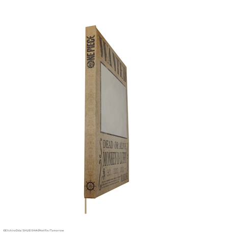 Carnet wanted mirroir - one piece Beige 5 - vertbaudet enfant 