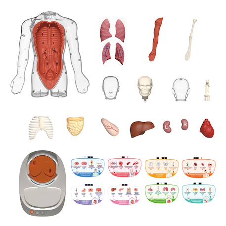 Corps humain interactif 3d avec organes amovibles et quiz éducatif - so science Multicolore 3 - vertbaudet enfant 