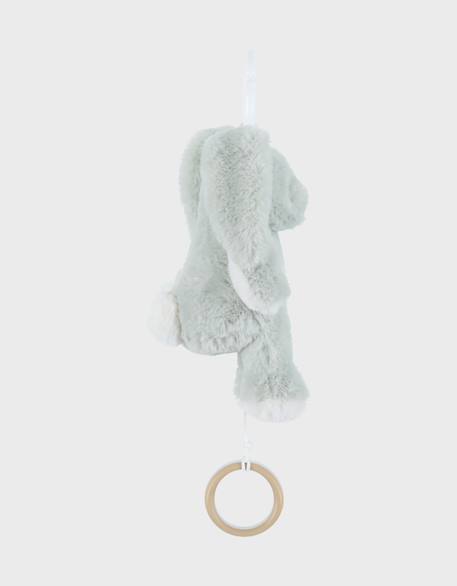 Peluche mini-musicale 20cm - verdi Vert 3 - vertbaudet enfant 