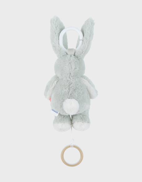 Peluche mini-musicale 20cm - verdi Vert 4 - vertbaudet enfant 