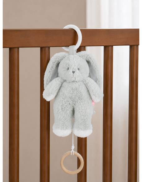 Peluche mini-musicale 20cm - verdi Vert 2 - vertbaudet enfant 