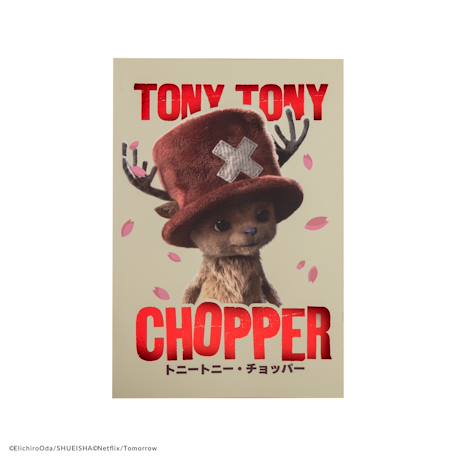 Carnet tony tony chopper - one piece Beige 1 - vertbaudet enfant 