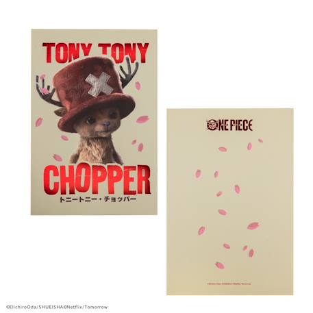 Carnet tony tony chopper - one piece Beige 3 - vertbaudet enfant 