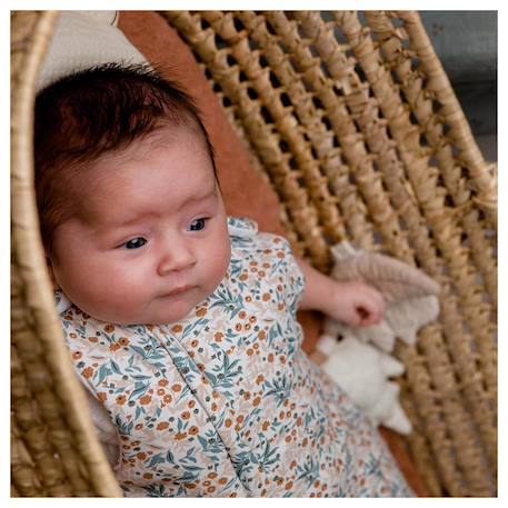 Mini gigoteuse aspard & lily Modèle gaspard et lily 5 - vertbaudet enfant 