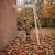 Balançoire en bois fixation murale pour jardin enfant Naturel 1 - vertbaudet enfant 