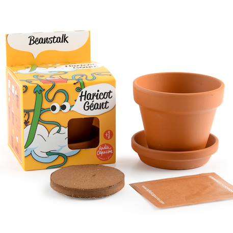 Je fais pousser mon haricot géant Marron 2 - vertbaudet enfant 