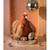 Peluche poule et ses œufs d'or 28 cm Orange 6 - vertbaudet enfant 
