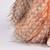 Peluche poule et ses œufs d'or 28 cm Orange 3 - vertbaudet enfant 