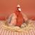 Peluche poule et ses œufs d'or 28 cm Orange 5 - vertbaudet enfant 