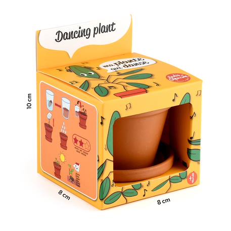 Je fais pousser ma plante qui danse Marron 5 - vertbaudet enfant 