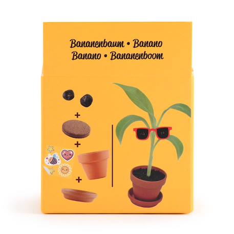 Je fais pousser mon bananier Marron 4 - vertbaudet enfant 