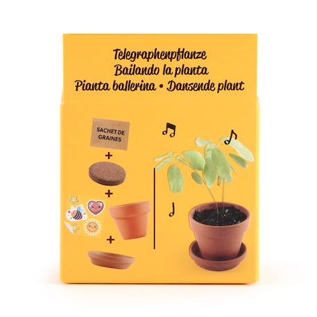 Je fais pousser ma plante qui danse Marron 4 - vertbaudet enfant 