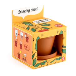 Jouet-Jeux de plein air-Je fais pousser ma plante qui danse
