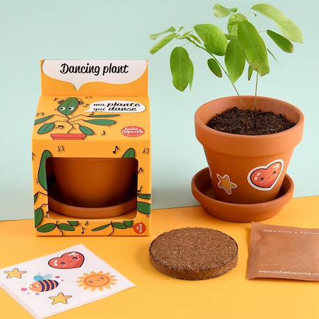 Je fais pousser ma plante qui danse Marron 2 - vertbaudet enfant 