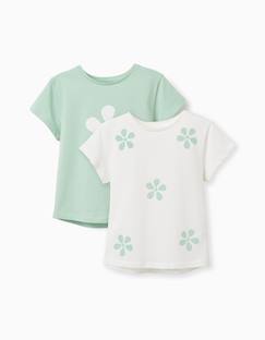 Lot de 2 t-shirts en coton avec imprimés étoiles de mer  - vertbaudet enfant