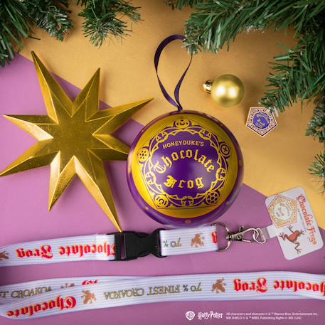 Capsule de noël tour de cou & pin's chocogrenouille - harry potter Violet 2 - vertbaudet enfant 