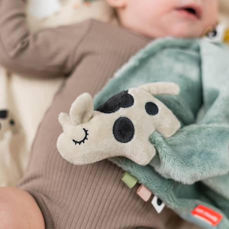 Doudou plat dotti Bleu 5 - vertbaudet enfant 