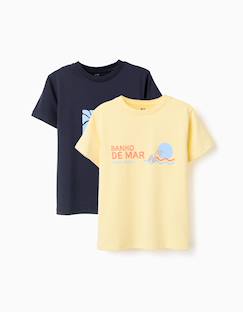 Garçon-T-shirt, polo, sous-pull-T-shirt-Lot de 2 t-shirts en coton avec imprimés plage