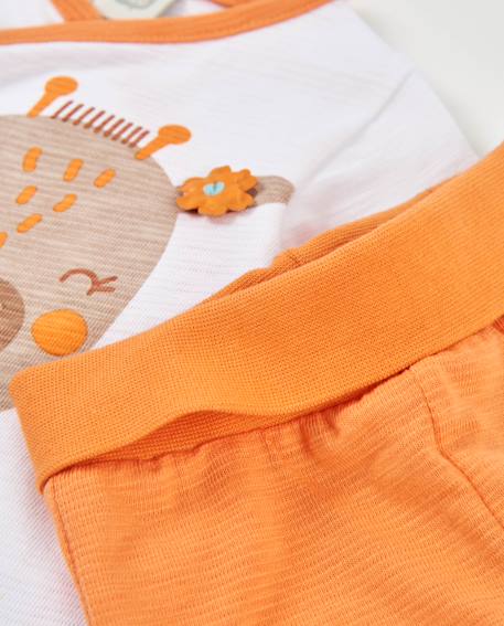 Ensemble en tricot pour nouveau-né avec imprimé girafe Blanc 6 - vertbaudet enfant 