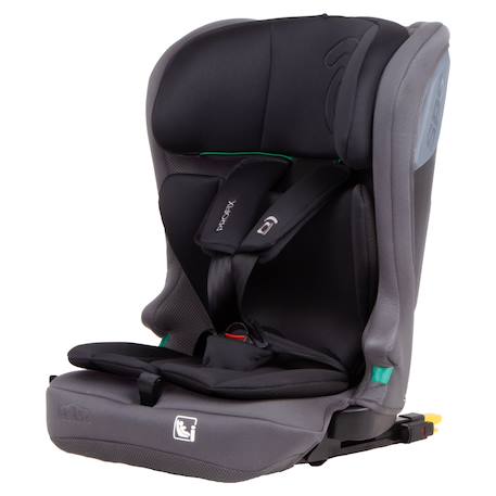 Siège auto i-Size Isofix 76-150 cm Profix Gris+Noir 1 - vertbaudet enfant 