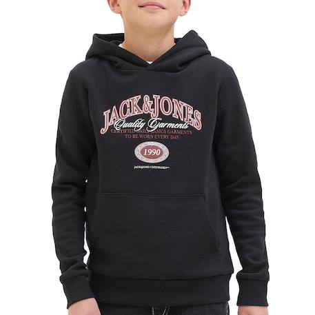 Garçon-Pull, gilet, sweat-Sweat garçon à capuche aris