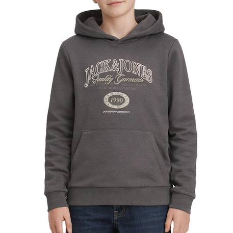 Sweat garçon à capuche aris Gris+Noir+Vert 1 - vertbaudet enfant 