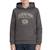 Sweat garçon à capuche aris Gris+Noir+Vert 1 - vertbaudet enfant 